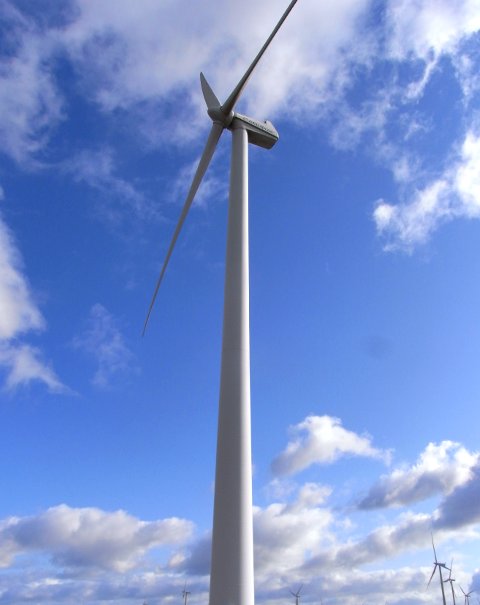 photograph of wind turbines